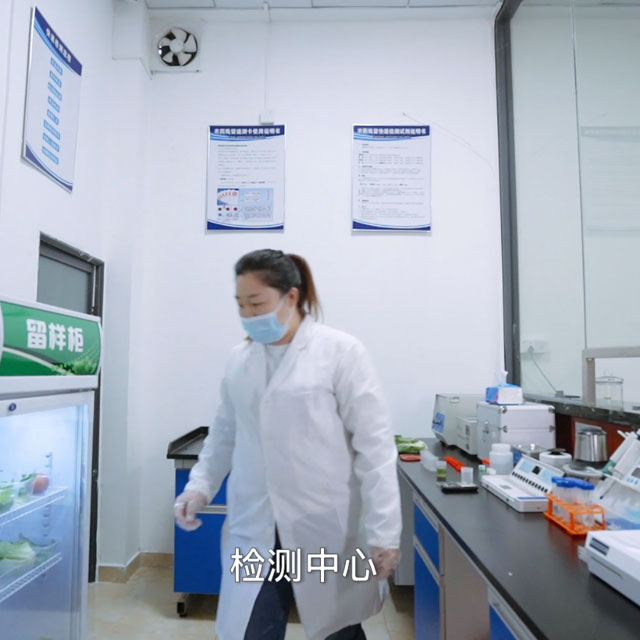 檢測室公司環境粵崗蔬菜配送