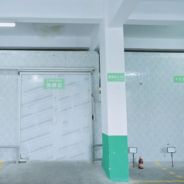 冷藏和冷凍庫公司環境粵崗蔬菜配送